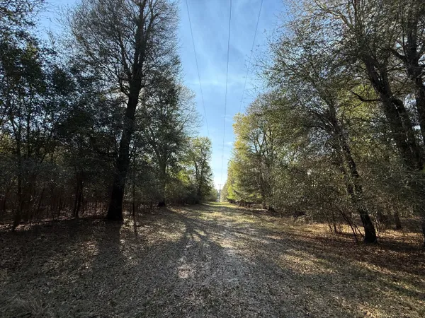 $300,000 | 0 South Carolina 3, Barnwell, SC 29812