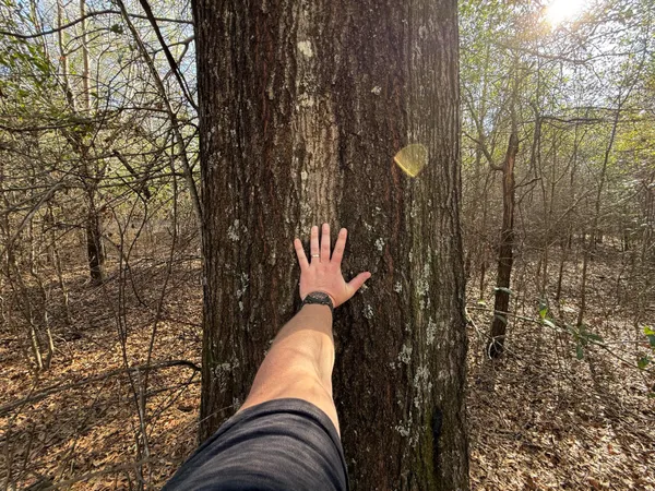 $300,000 | 0 South Carolina 3, Barnwell, SC 29812