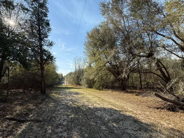 $300,000 | 0 South Carolina 3, Barnwell, SC 29812