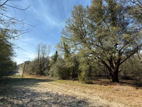 $300,000 | 0 South Carolina 3, Barnwell, SC 29812