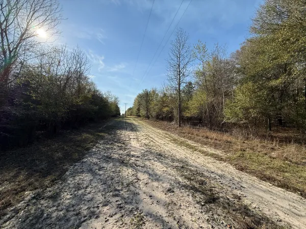 $300,000 | 0 South Carolina 3, Barnwell, SC 29812