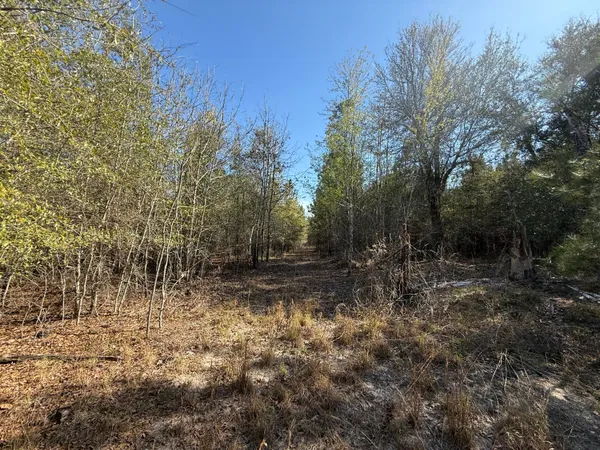 $300,000 | 0 South Carolina 3, Barnwell, SC 29812