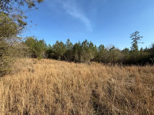 $300,000 | 0 South Carolina 3, Barnwell, SC 29812