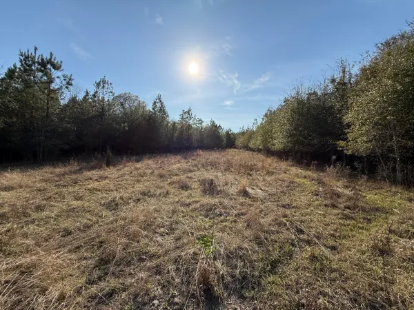 $300,000 | 0 South Carolina 3, Barnwell, SC 29812