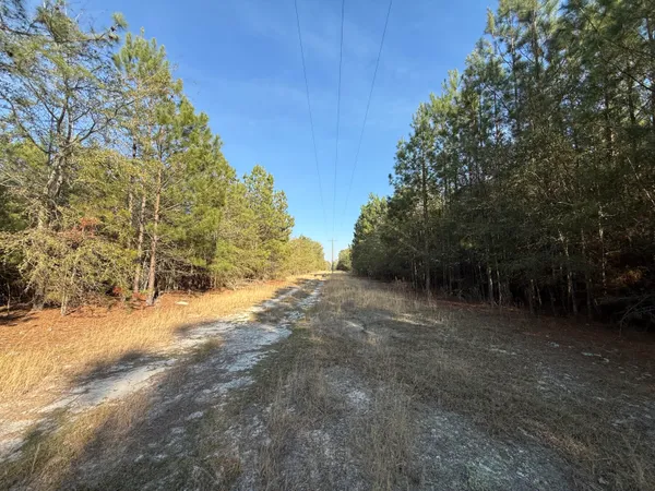 $300,000 | 0 South Carolina 3, Barnwell, SC 29812
