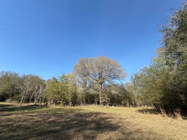 $300,000 | 0 South Carolina 3, Barnwell, SC 29812