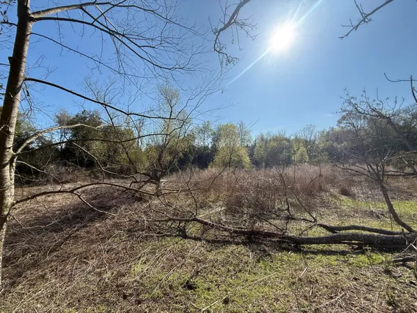 $300,000 | 0 South Carolina 3, Barnwell, SC 29812