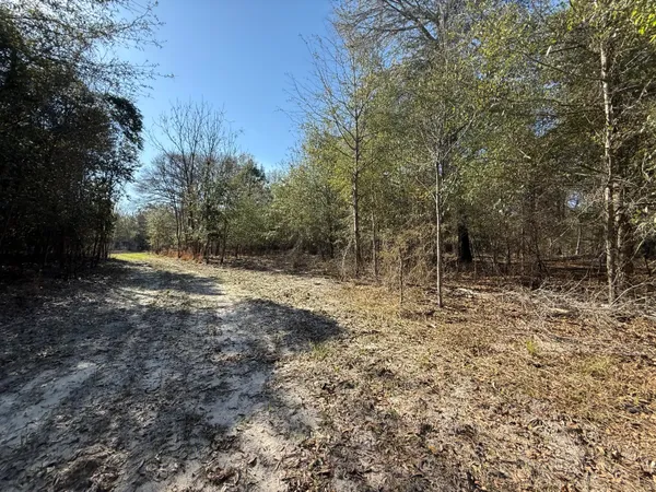 $300,000 | 0 South Carolina 3, Barnwell, SC 29812