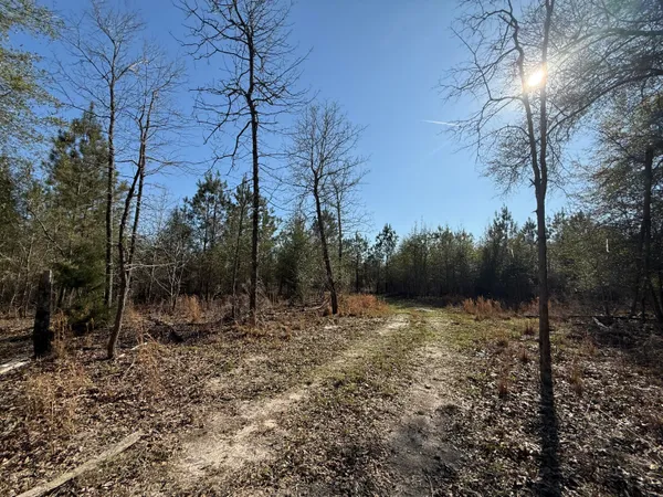 $300,000 | 0 South Carolina 3, Barnwell, SC 29812