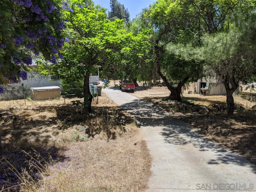 14941 Lyons Valley Road Jamul, CA 91935 - Photo 8 of 24 a view of a yard with trees