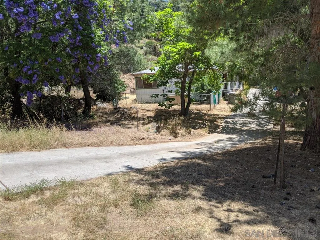 14941 Lyons Valley Road Jamul, CA 91935 - Photo 10 of 24 a view of a yard with plants and trees