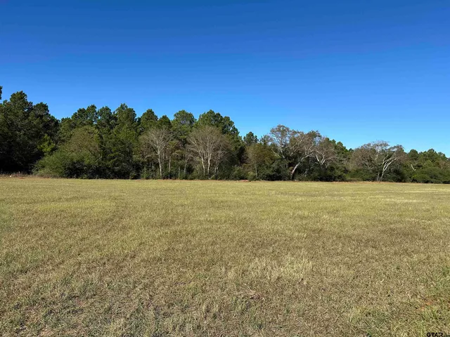 a view of a field with trees in the background