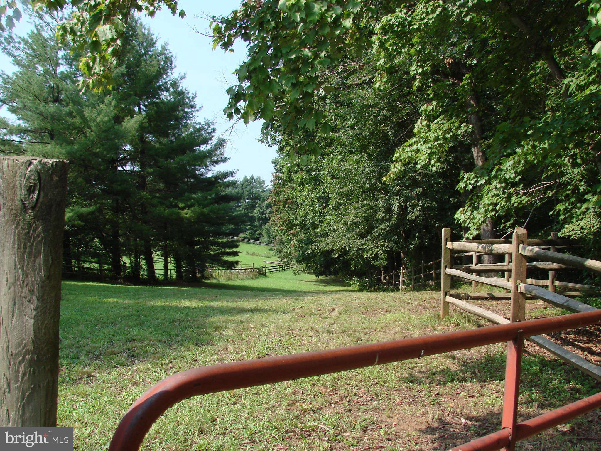 11461 Bears Den Road Marshall, VA 20115 - Photo 11 of 29 Exterior General