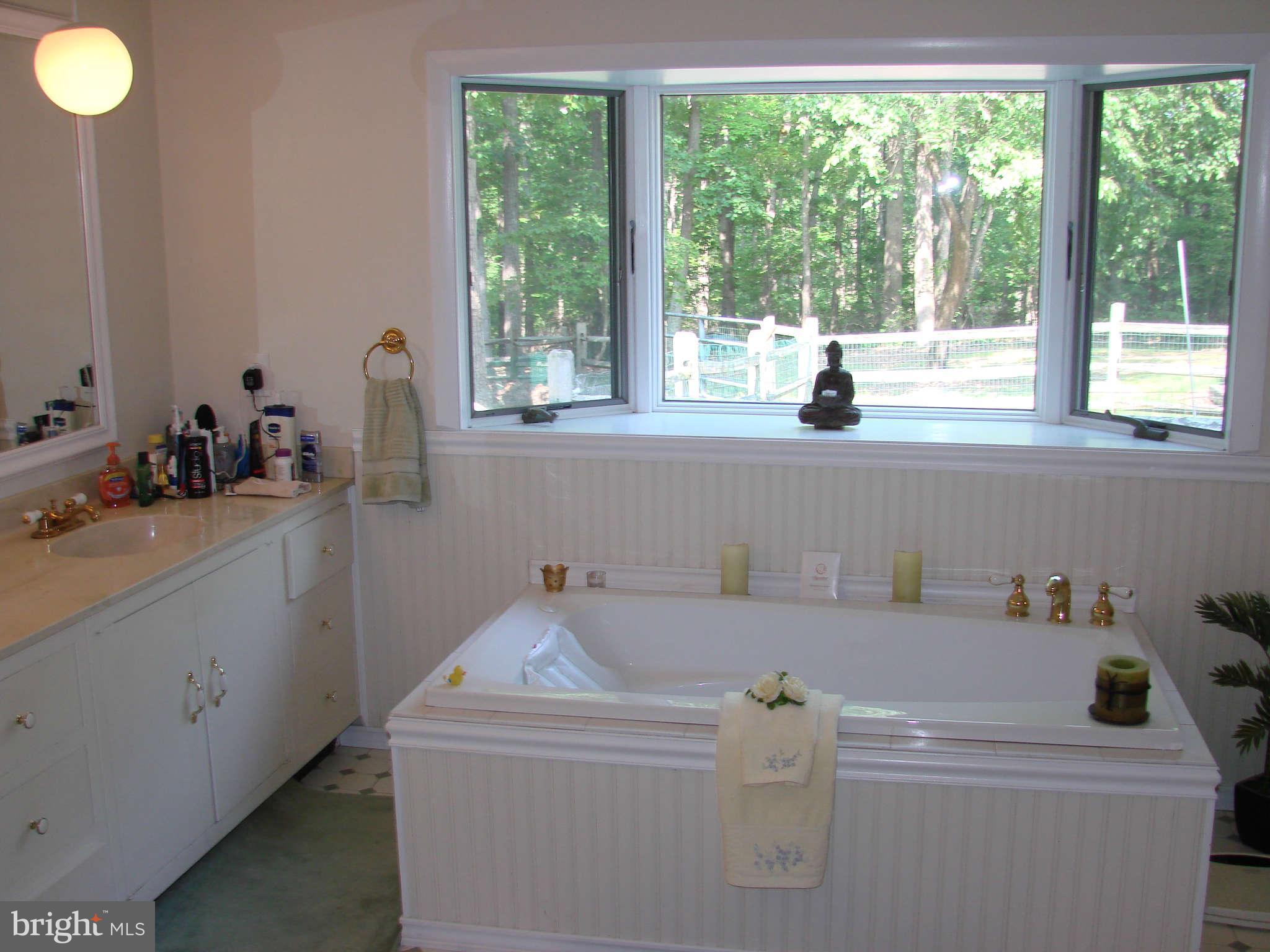 11461 Bears Den Road Marshall, VA 20115 - Photo 24 of 29 Bath Master
