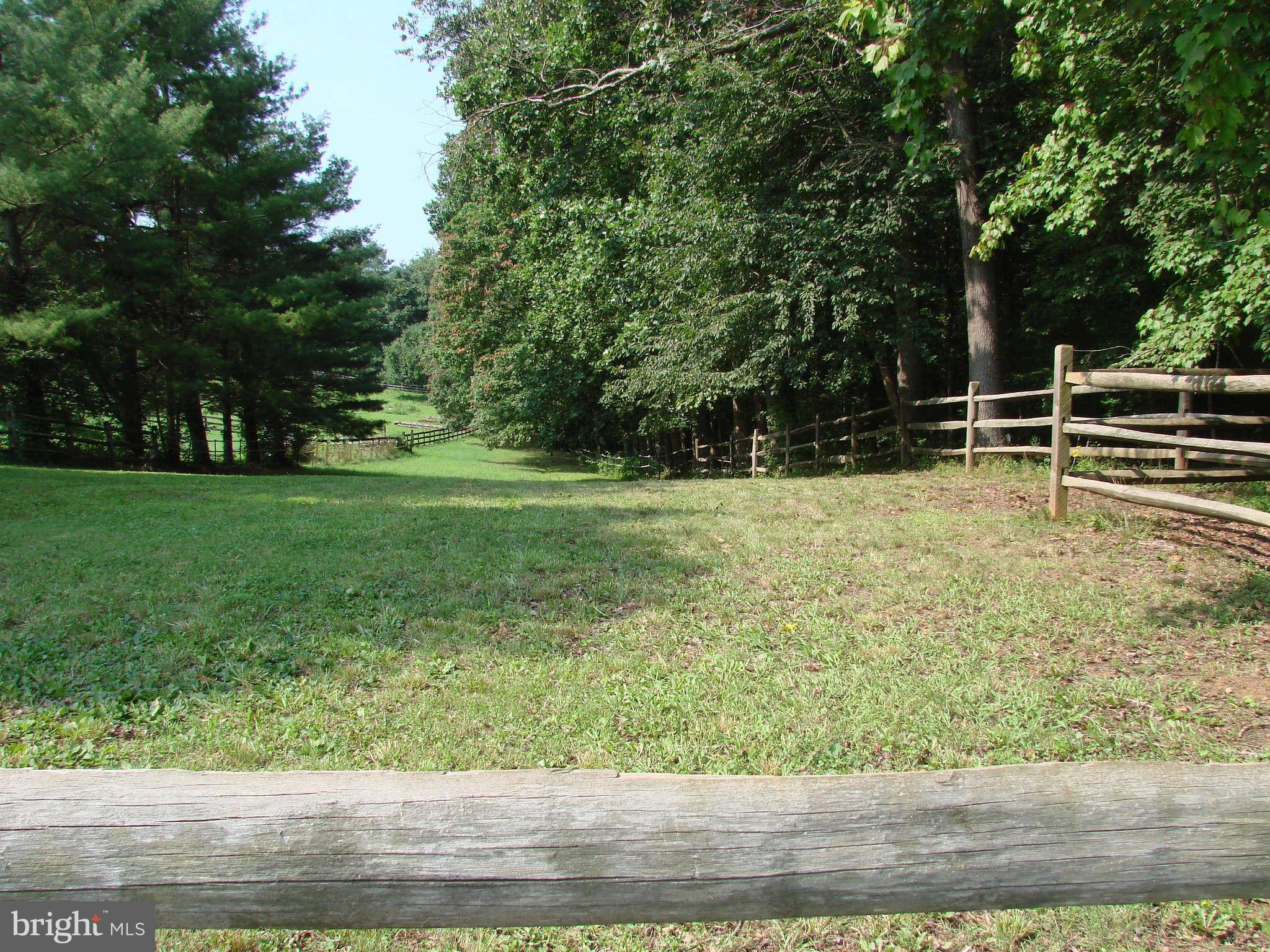 11461 Bears Den Road Marshall, VA 20115 - Photo 10 of 29 Exterior General