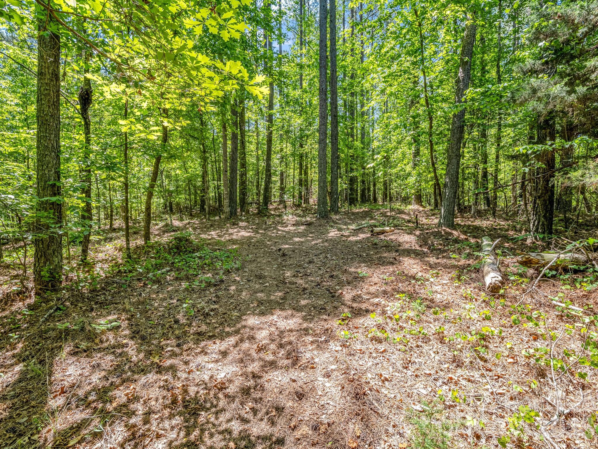 0 Jim Dobbins Road Rutherfordton, NC 28139 - Photo 37 of 39 a big yard with lots of green space and trees