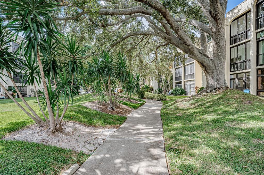 11485 Oakhurst Road, Unit 200306 Largo, FL 33774 - Photo 26 of 54