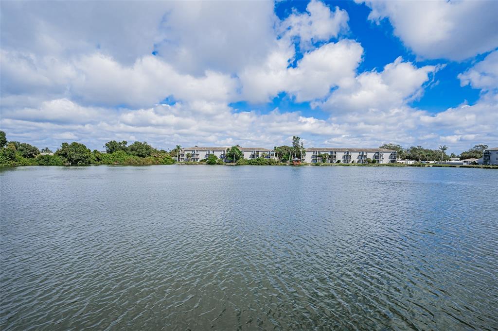 11485 Oakhurst Road, Unit 200306 Largo, FL 33774 - Photo 50 of 54