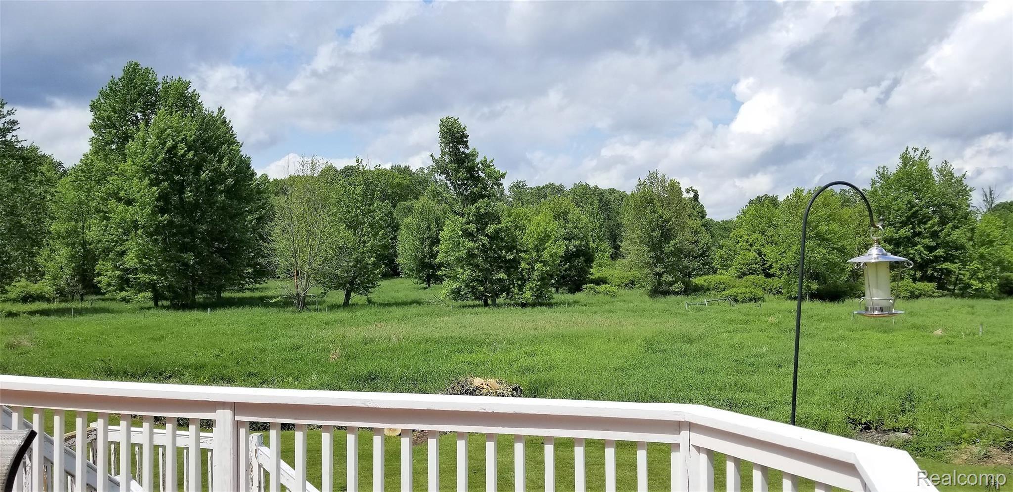 5800 Milett Road Fowlerville, MI 48836 - Photo 22 of 52 View from Back Deck