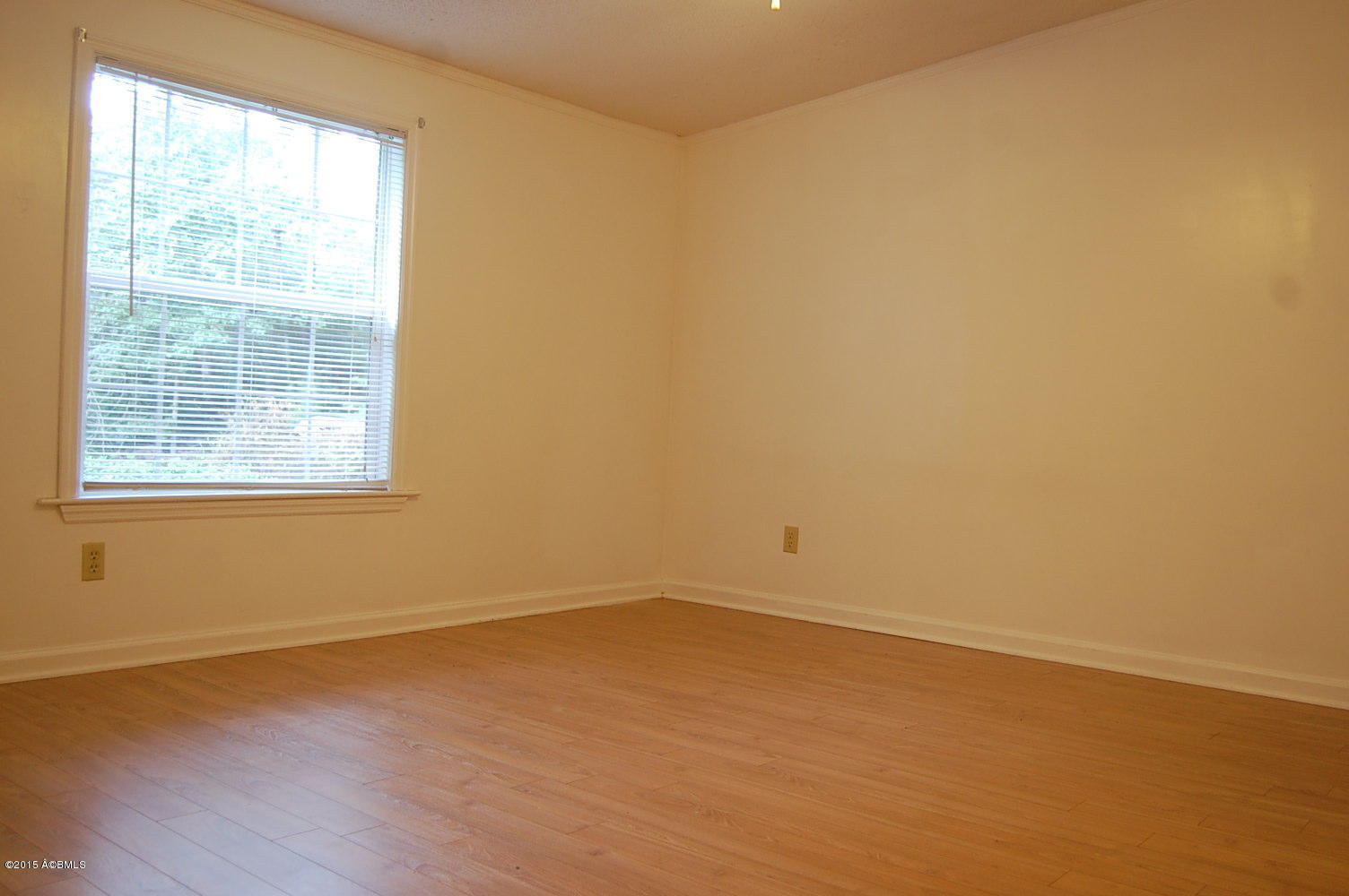 93 Springfield Road Beaufort, SC 29907 - Photo 31 of 41 DSC_0719