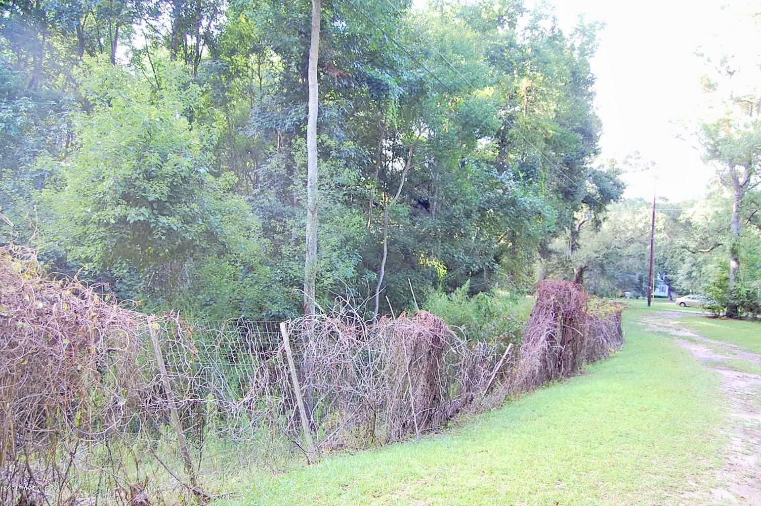 93 Springfield Road Beaufort, SC 29907 - Photo 41 of 41 DSC_0730