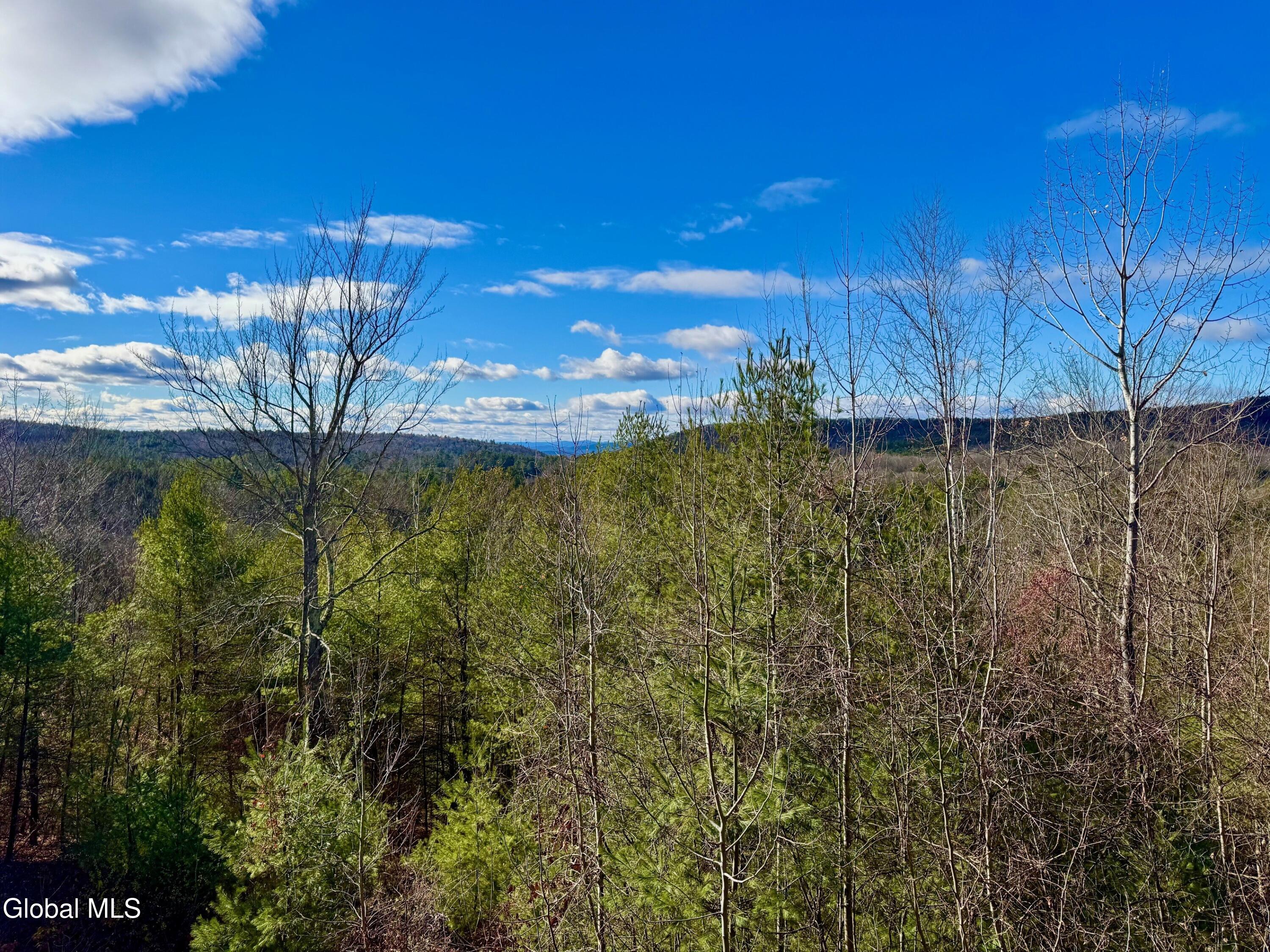 35 Ridgecrest Way Hampton, NY 12887 - Photo 3 of 32 Crane 28