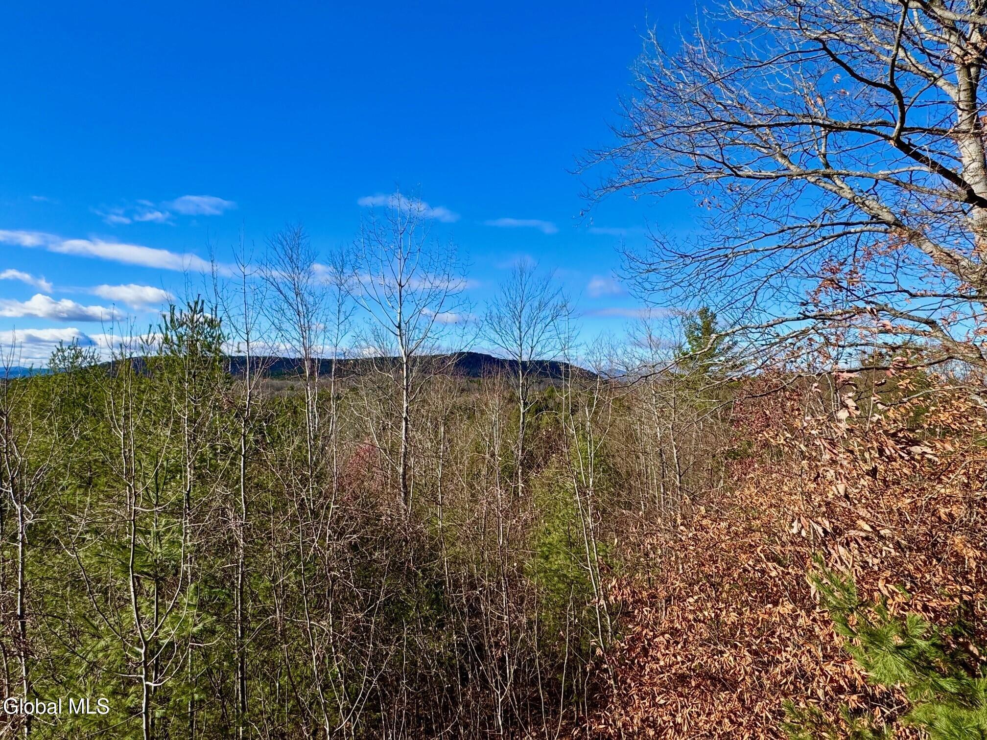 35 Ridgecrest Way Hampton, NY 12887 - Photo 4 of 32 Crane 29