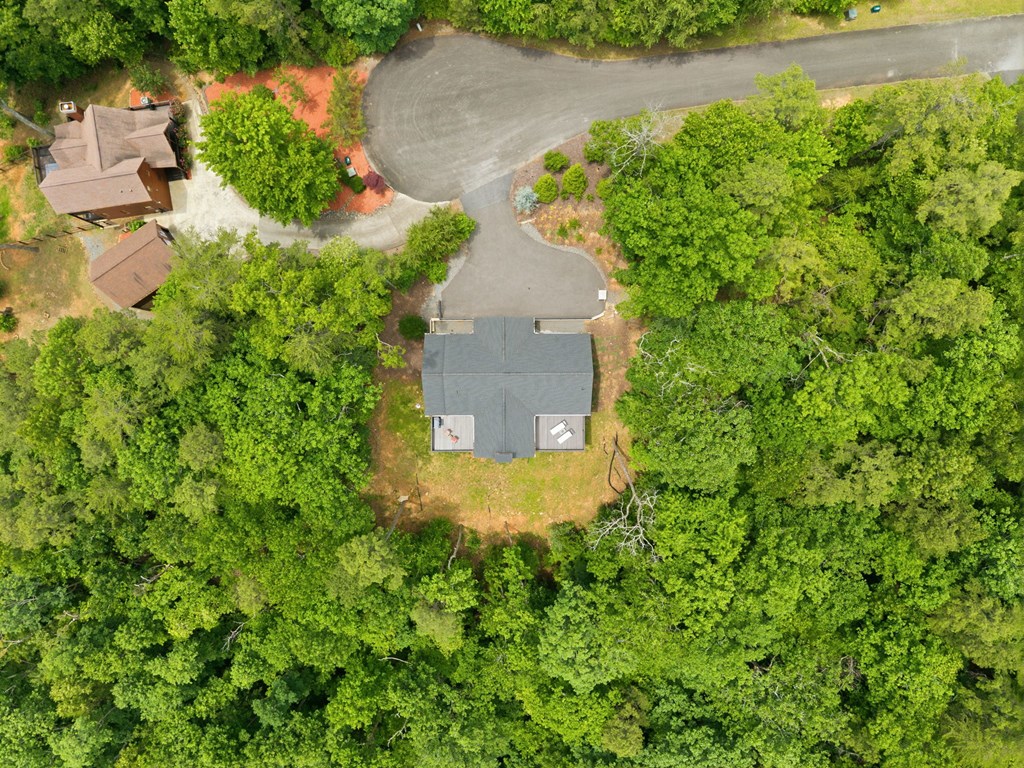 254 Leatherwood Mountain Road Cherry Log, GA 30522 - Photo 101 of 103