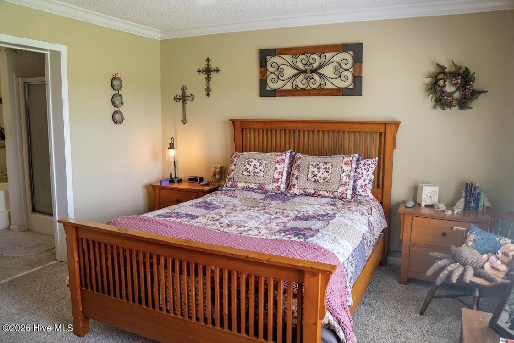 550 Walker Road Aurora, NC 27806 - Photo 28 of 49 Gallery Image 28