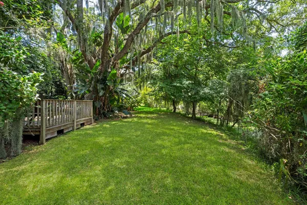 a view of a backyard