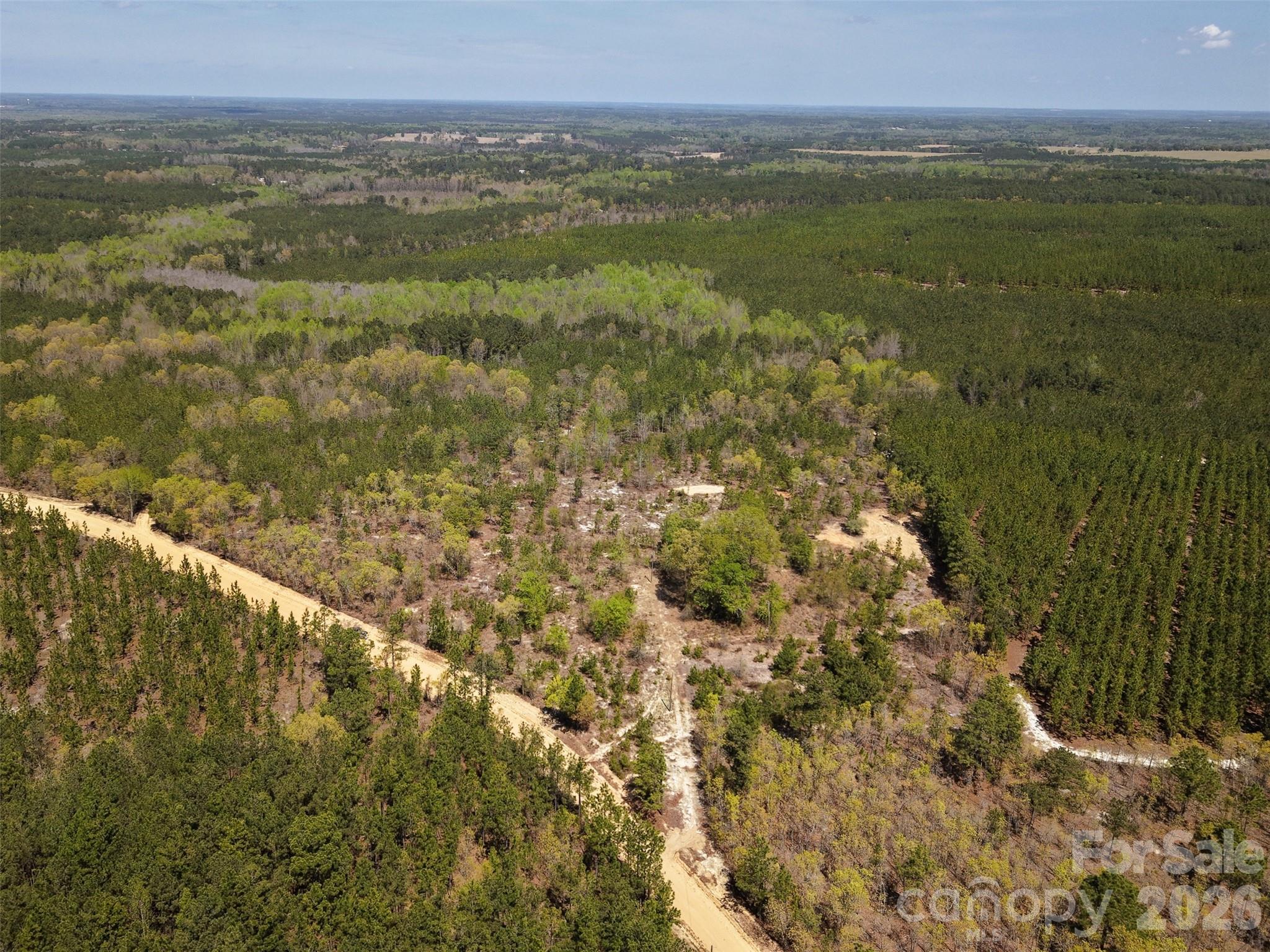 0 McQueen Road Patrick, SC 29584 - Photo 6 of 25