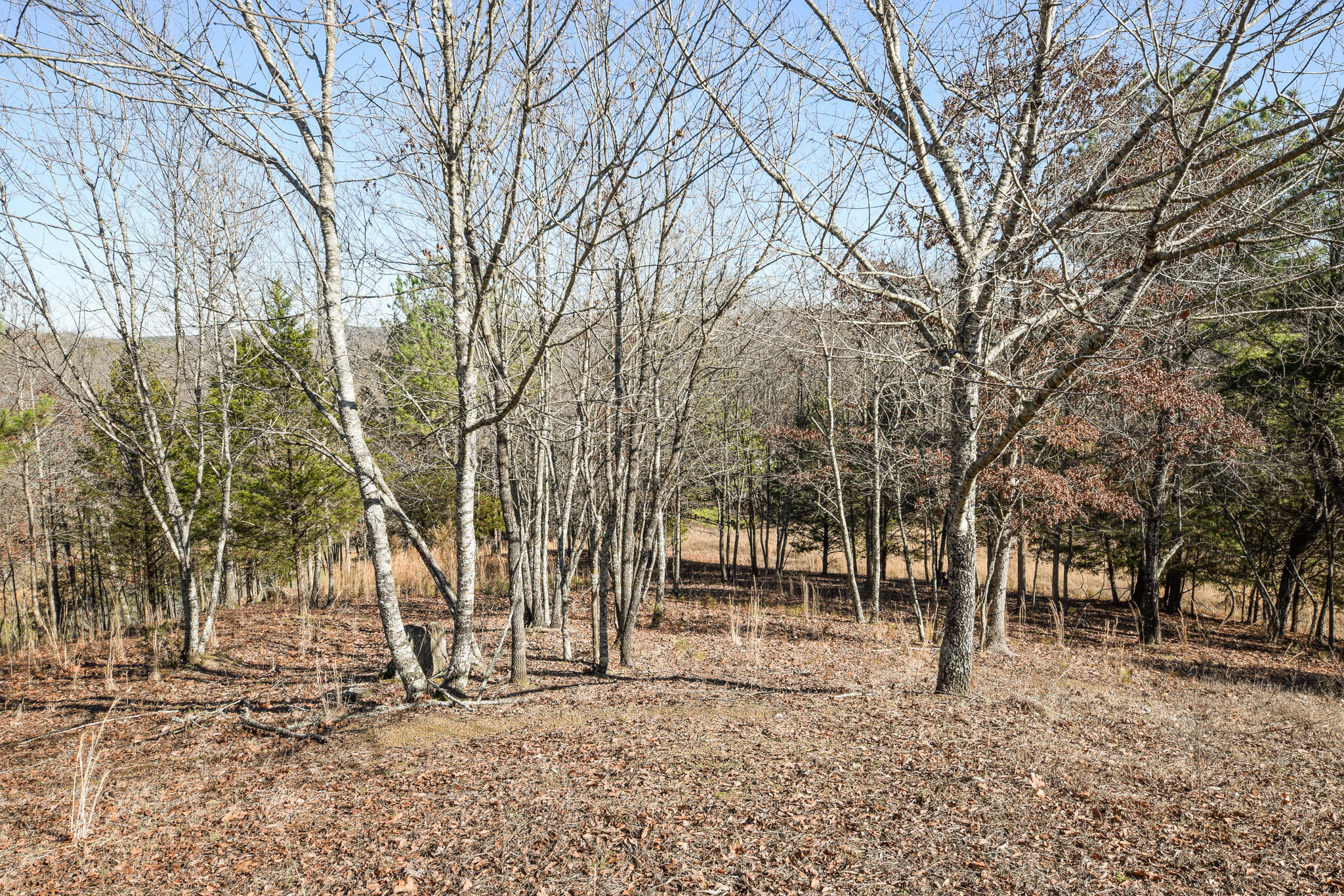 330 Moore Circle Road Charleston, TN 37310 - Photo 34 of 38 DSC_8165
