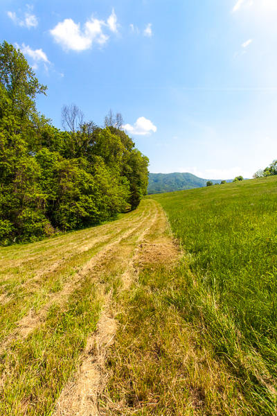 285 Jane Dyer Road Luttrell, TN 37779 - Photo 38 of 38 Jane Dyer Rd 285 039
