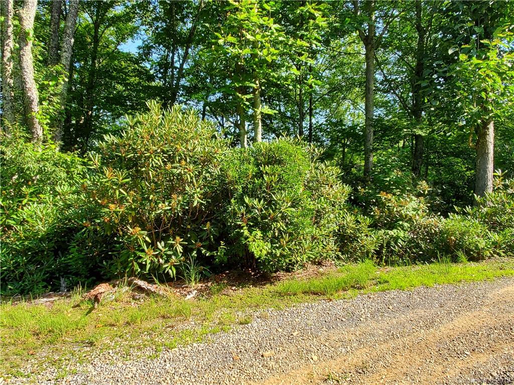 Lot 81 Boomer Road Maggie Valley, NC 28751 - Photo 8 of 20 Gallery Image 8