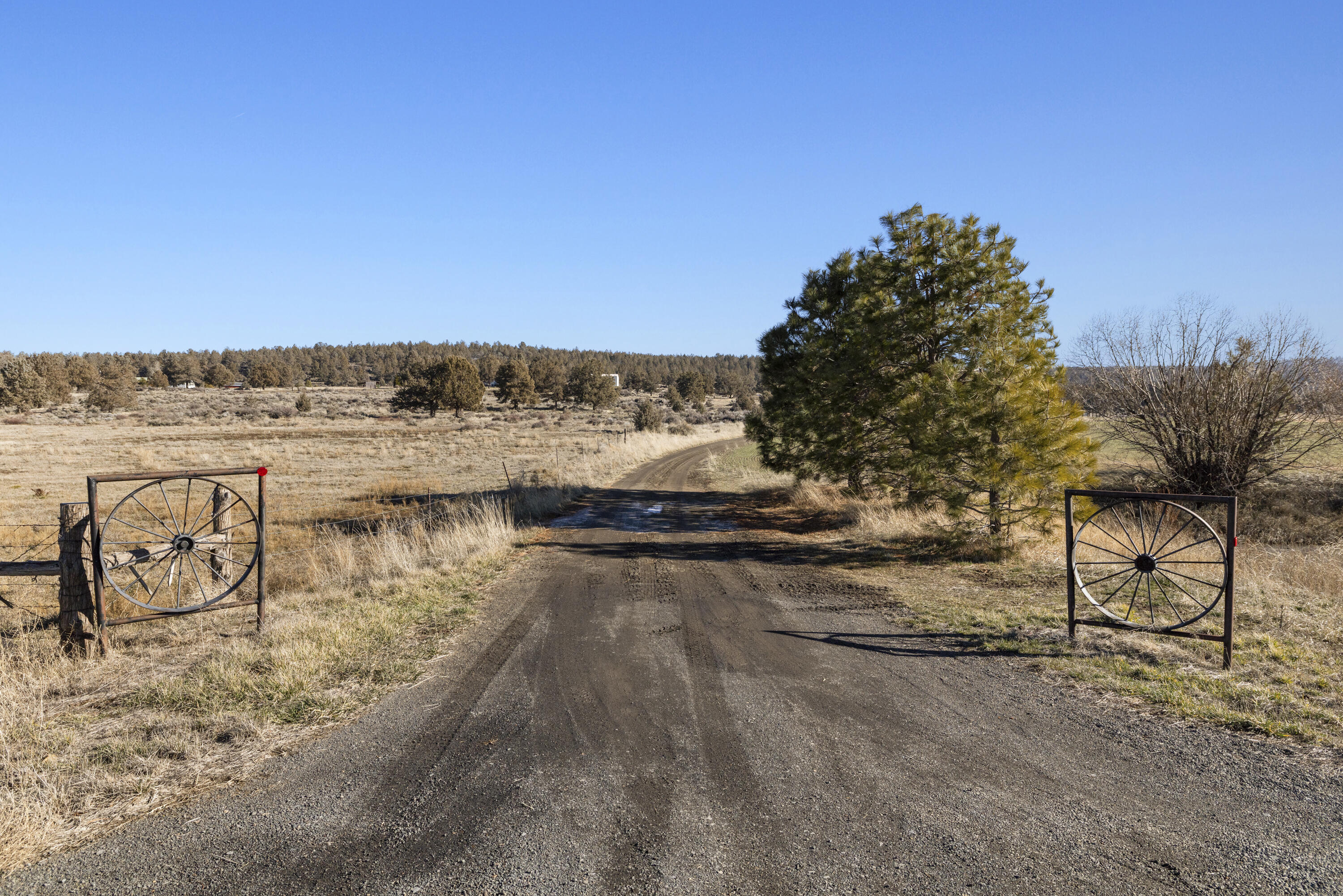 5415 Haskins Road Bonanza, OR 97623 - Photo 96 of 97 Driveway