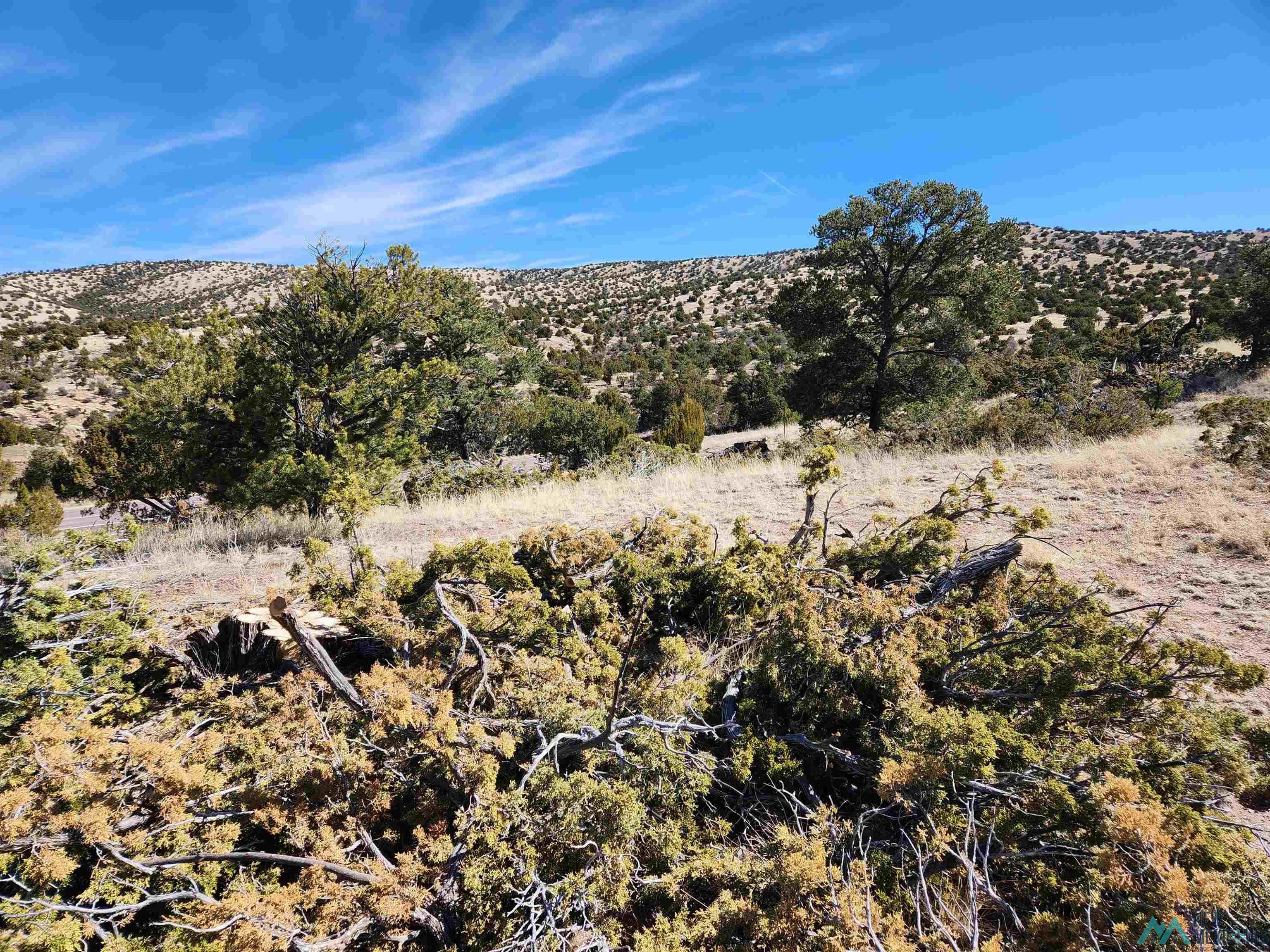 0 Tbd Nm 169 State Road Magdalena, NM 87825 - Photo 5 of 14