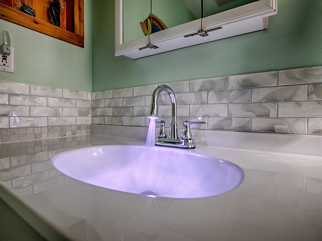 634 Timbercrest Drive Leesburg, FL 34748 - Photo 29 of 38 a view of a sink with a potted plant in a bathroom