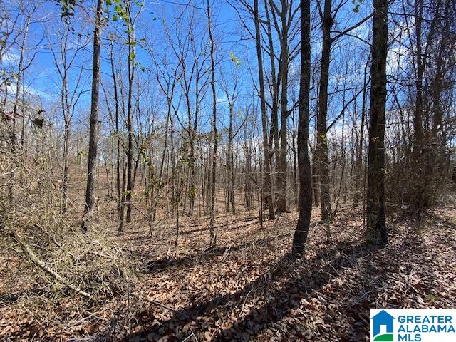 8761 Pine Mountain Road, Unit 38 Pinson, AL 35126 - Photo 1 of 1