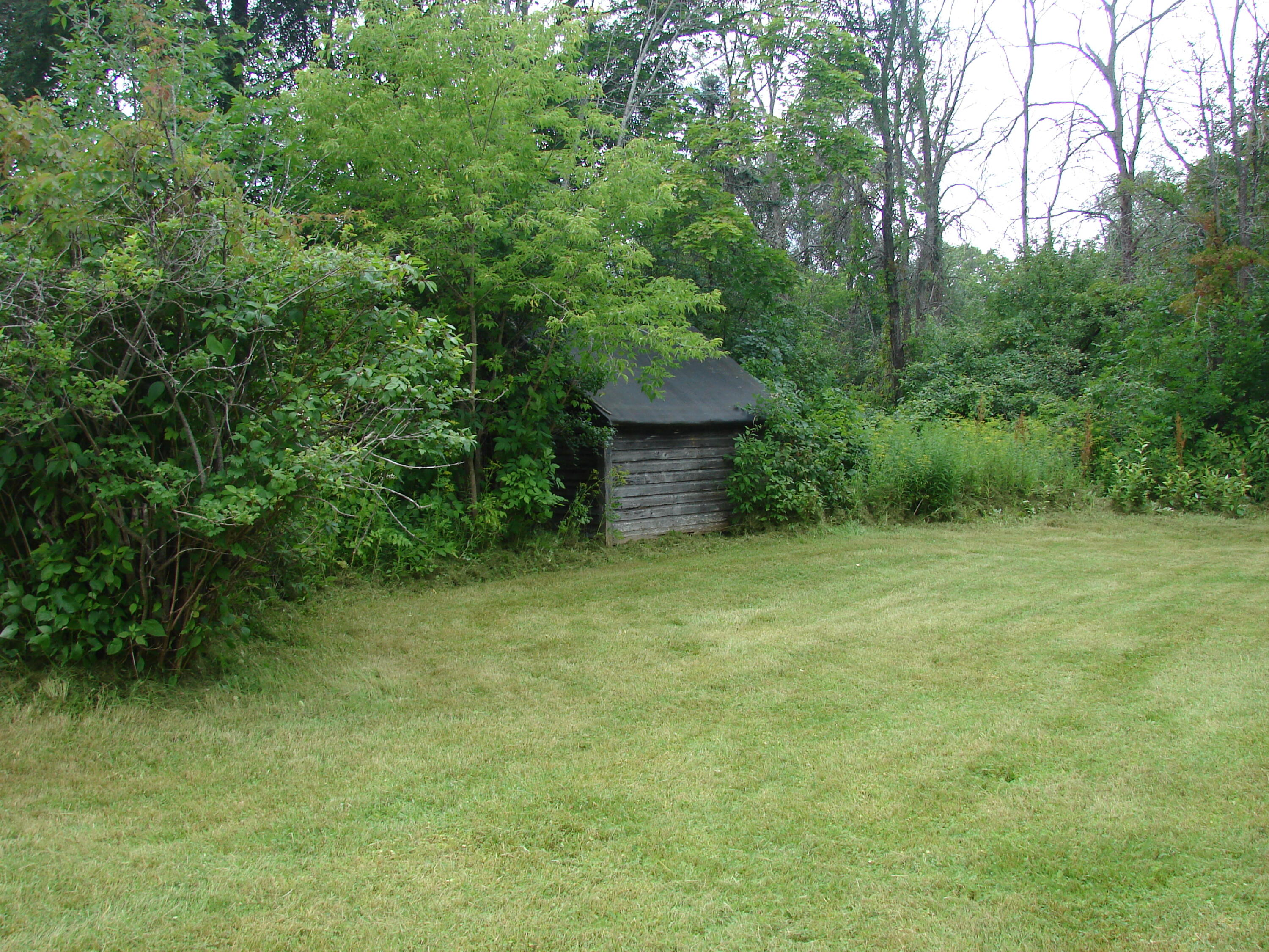 116 Watson Street Cheboygan, MI 49721 - Photo 6 of 14 Gallery Image 6