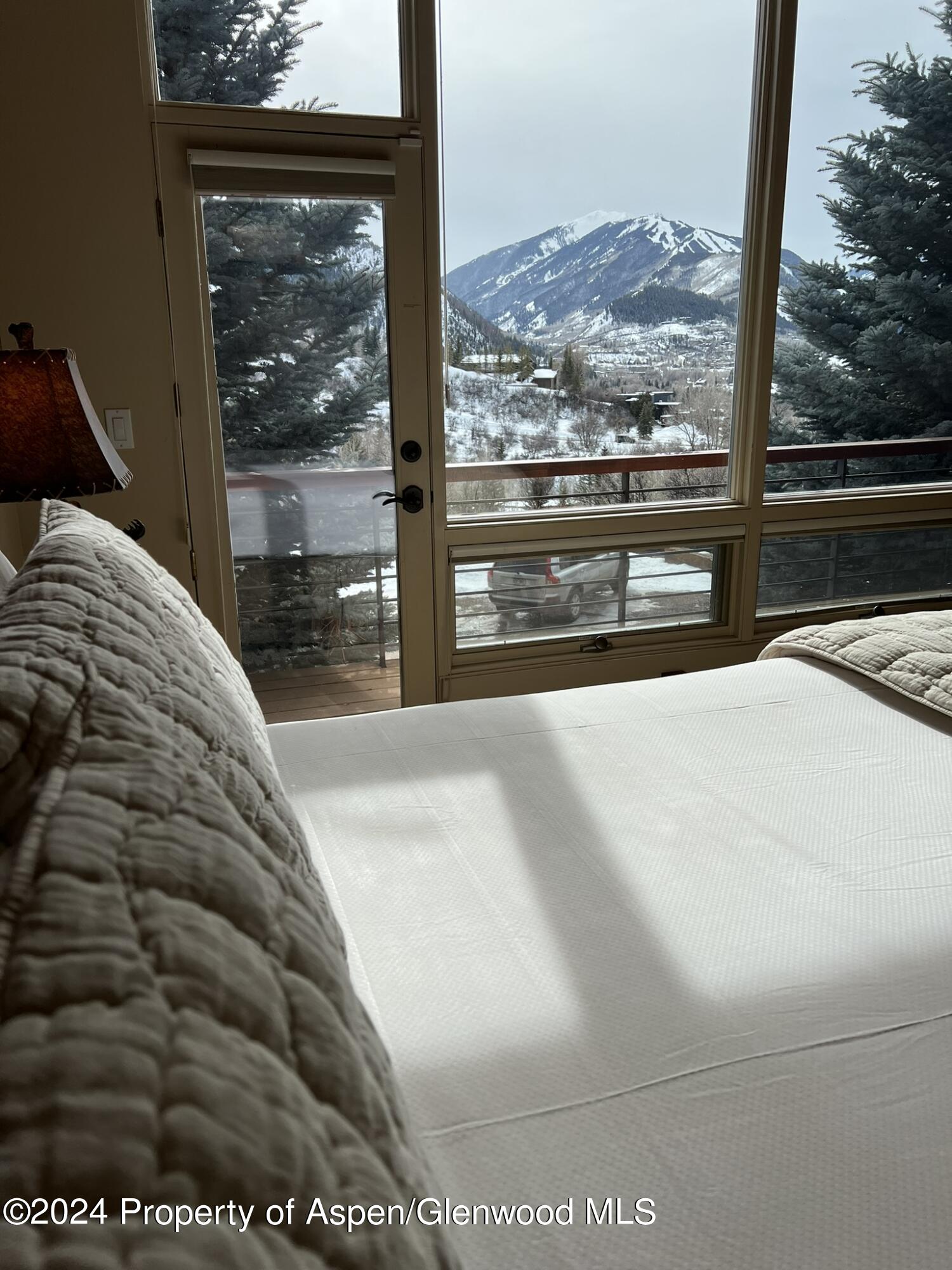 185 Nighthawk Drive Aspen, CO 81612 - Photo 11 of 31 IMG_1208