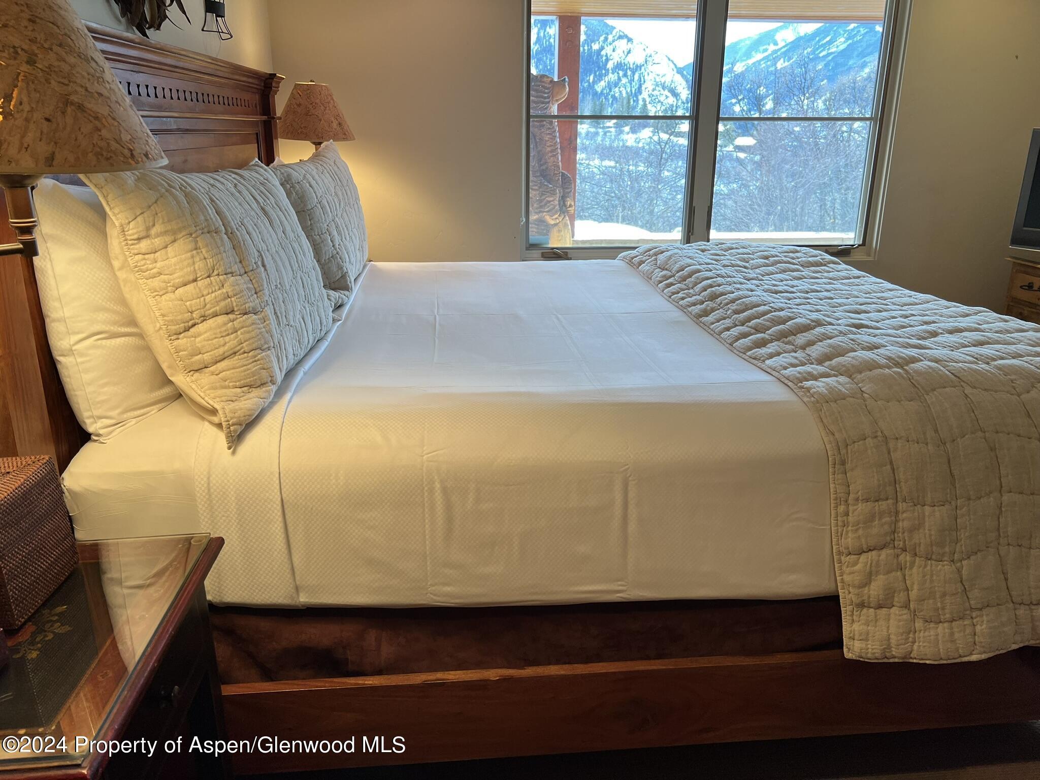 185 Nighthawk Drive Aspen, CO 81612 - Photo 15 of 31 IMG_new 10