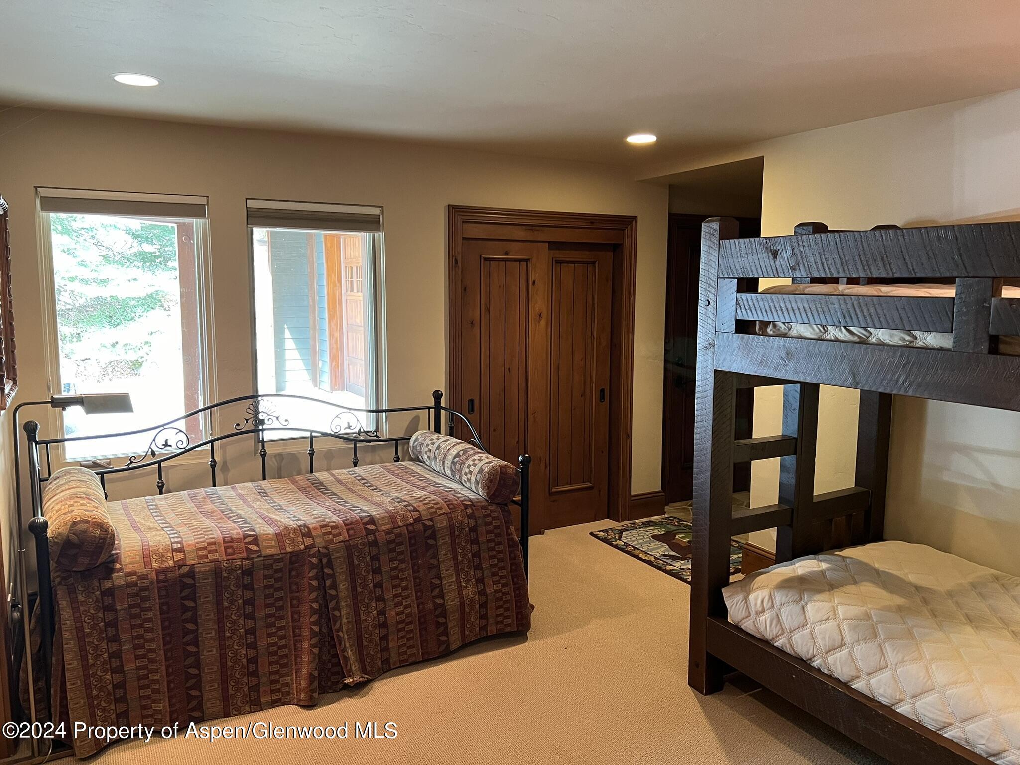 185 Nighthawk Drive Aspen, CO 81612 - Photo 18 of 31 IMG_1805