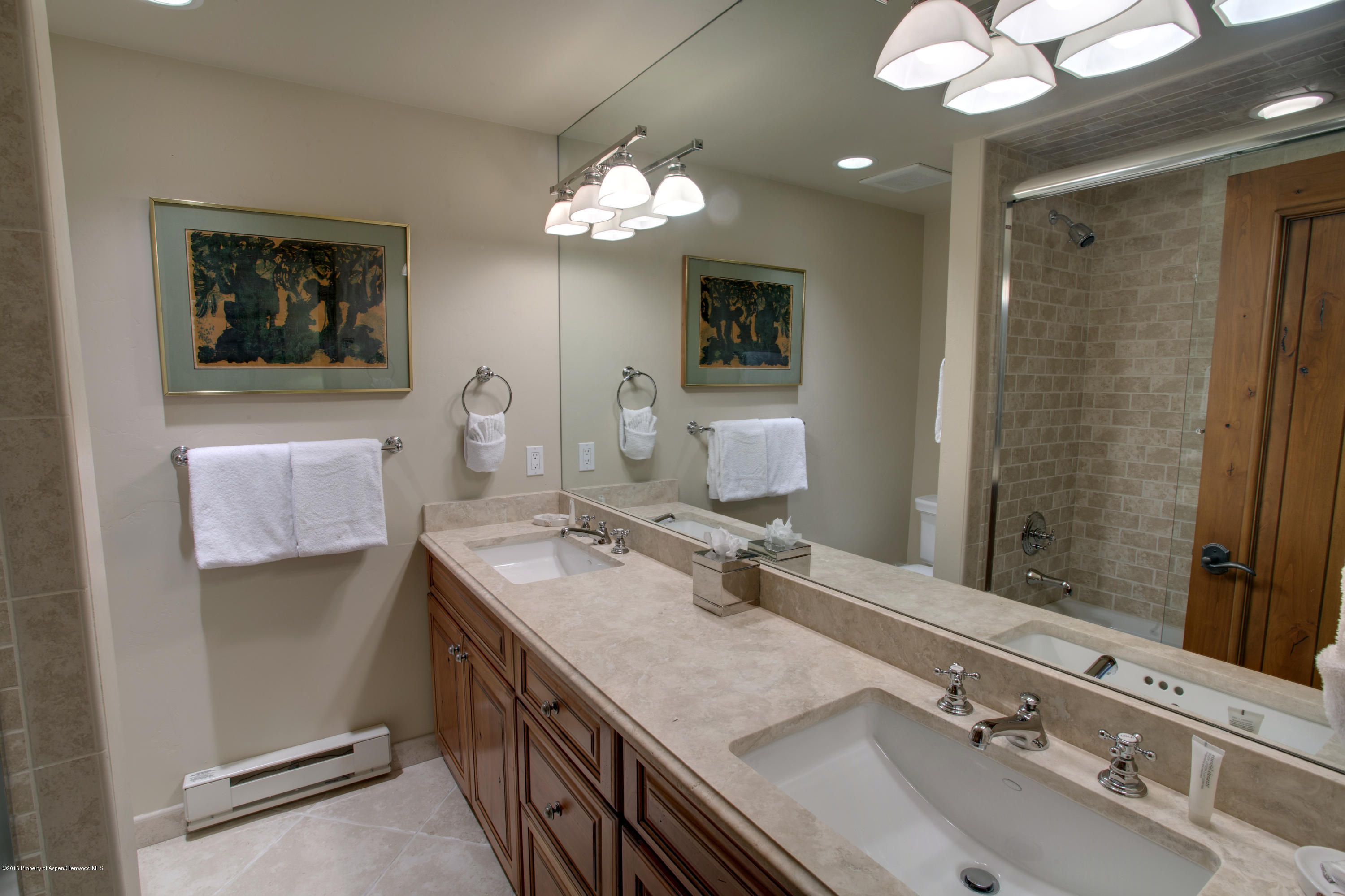 185 Nighthawk Drive Aspen, CO 81612 - Photo 21 of 31 Shot24