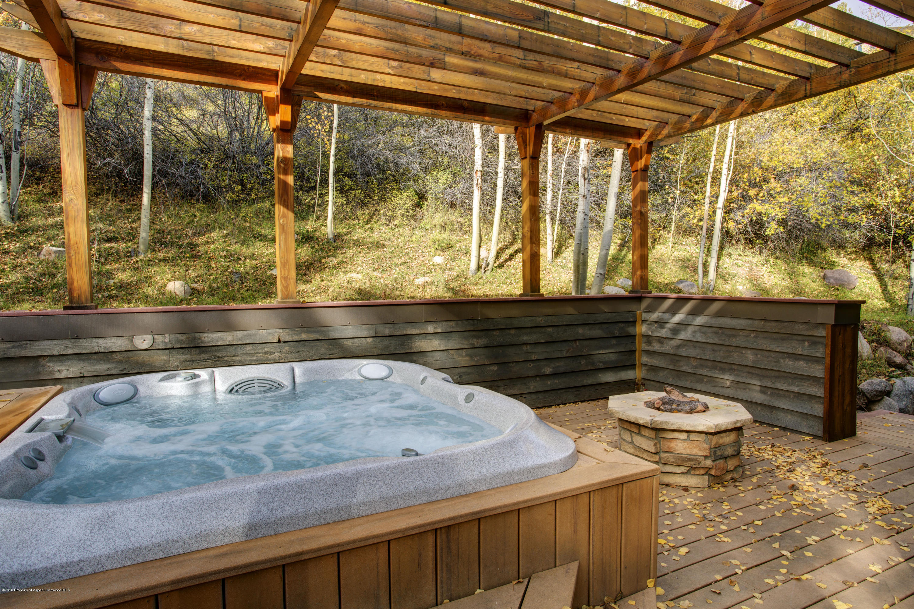 185 Nighthawk Drive Aspen, CO 81612 - Photo 23 of 31 Shot26