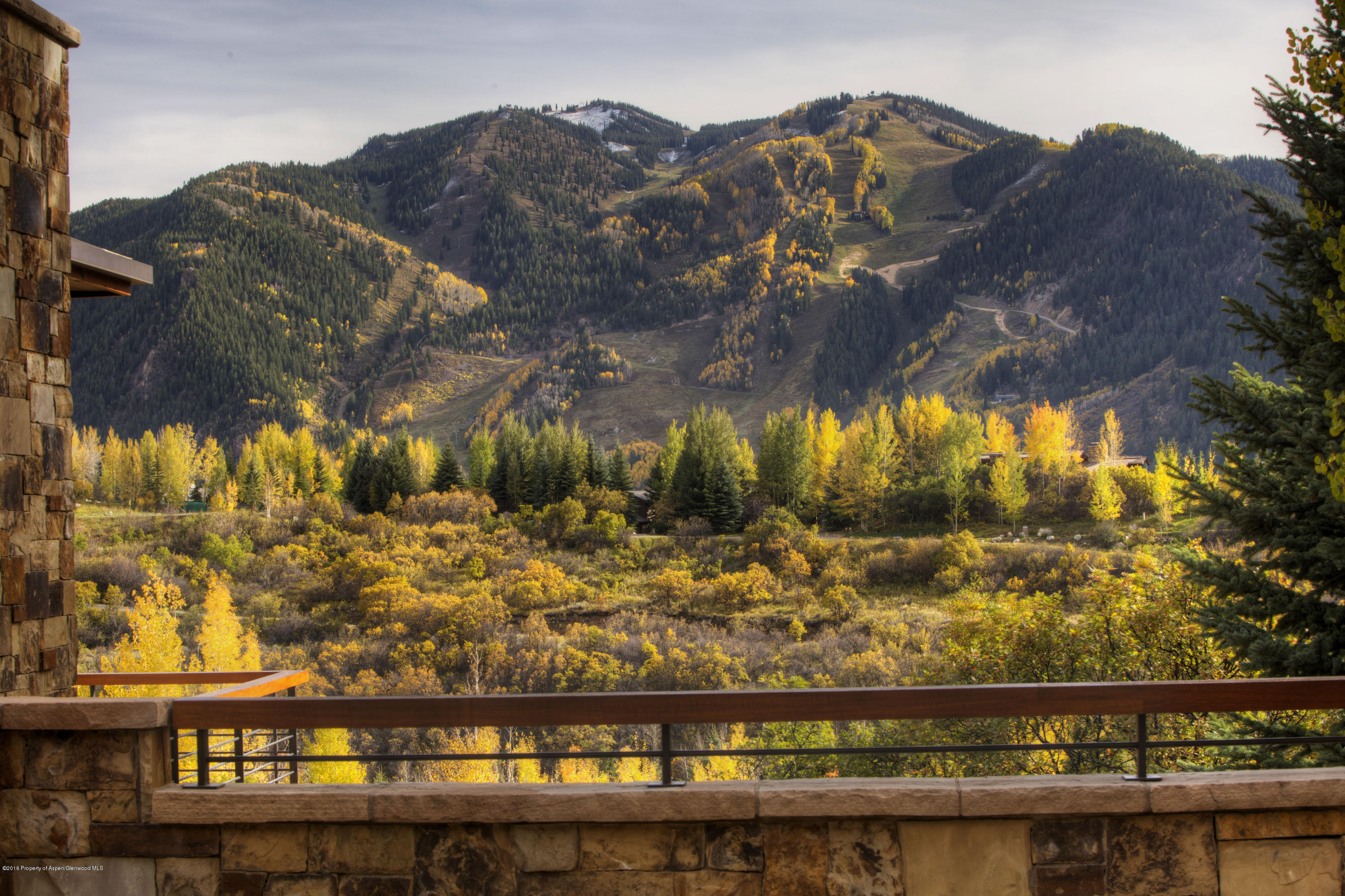 185 Nighthawk Drive Aspen, CO 81612 - Photo 24 of 31 Shot28