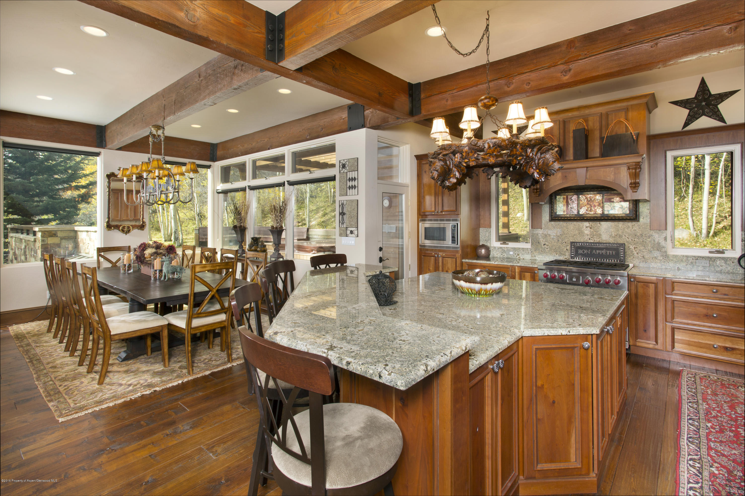 185 Nighthawk Drive Aspen, CO 81612 - Photo 5 of 31 Shot12