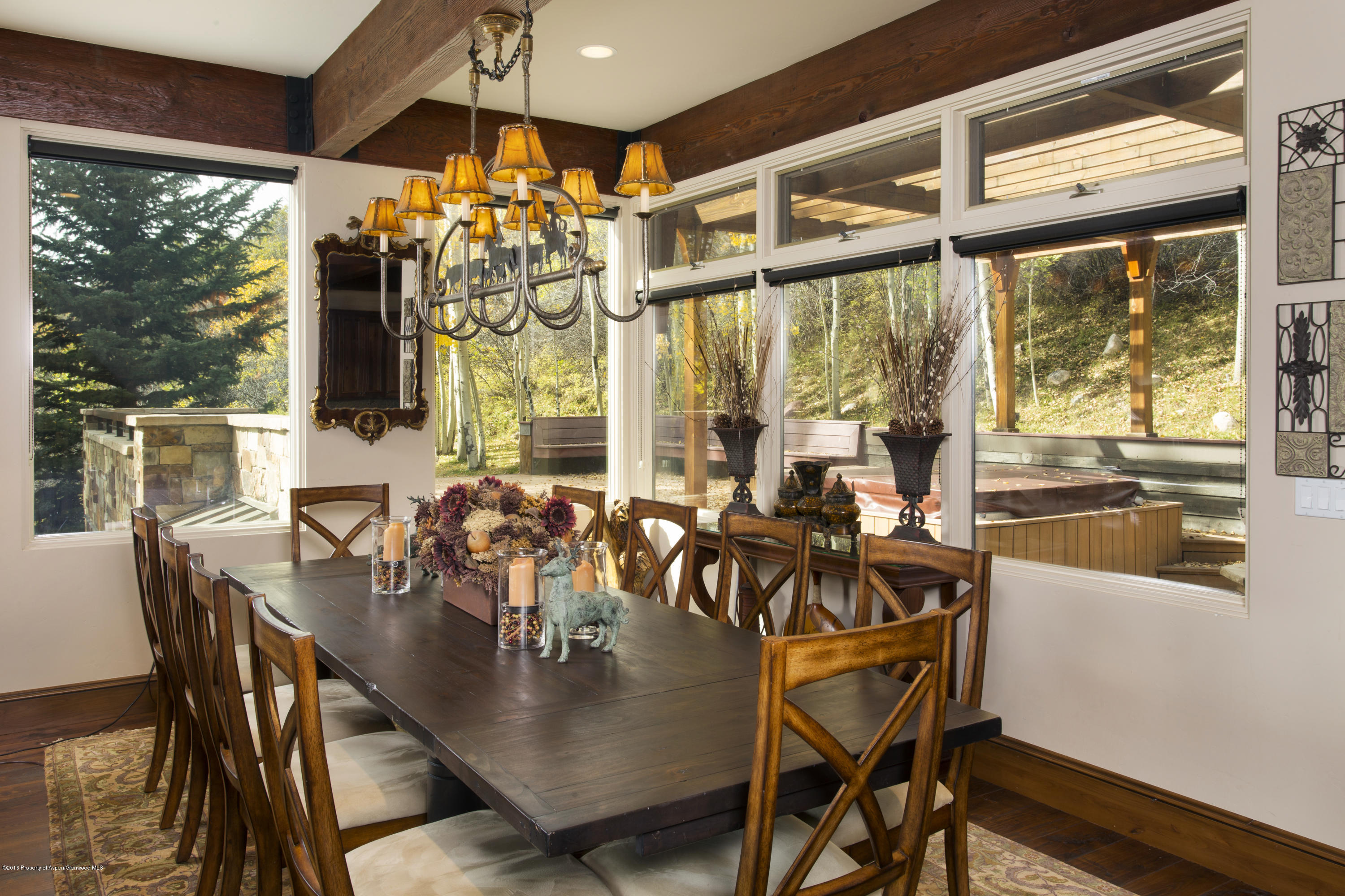 185 Nighthawk Drive Aspen, CO 81612 - Photo 8 of 31 Shot10