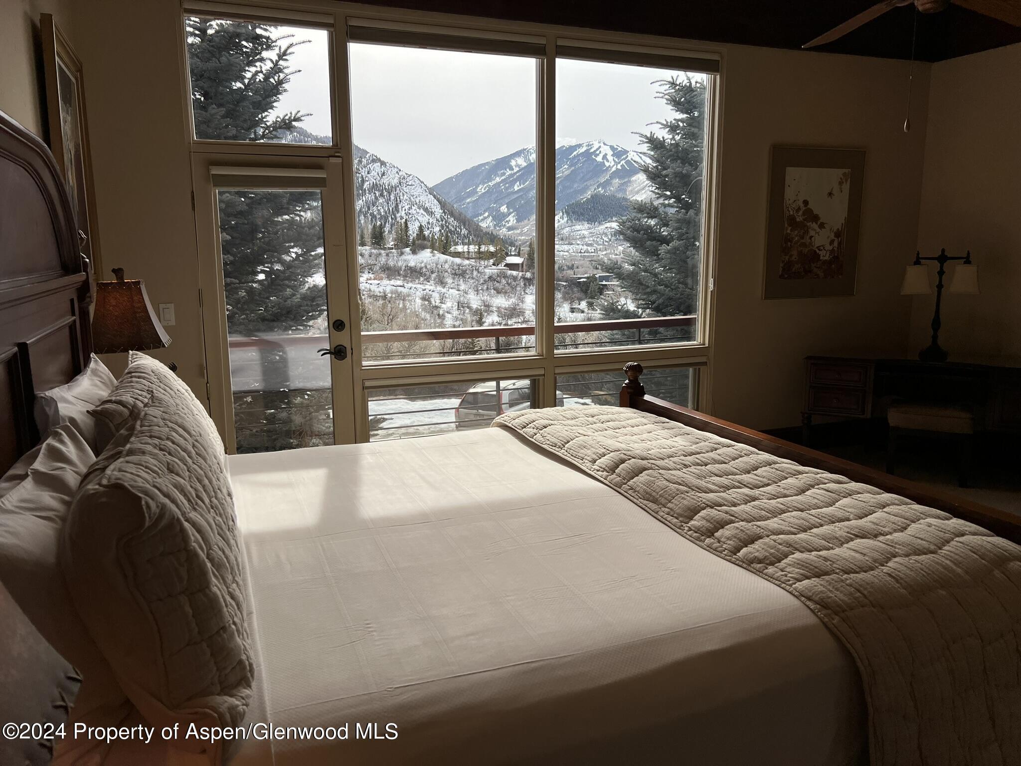 185 Nighthawk Drive Aspen, CO 81612 - Photo 10 of 31 IMG_1206