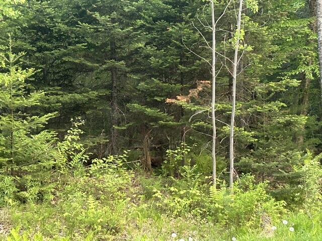 51 White Orchard Road Frankfort, ME 04438 - Photo 31 of 33