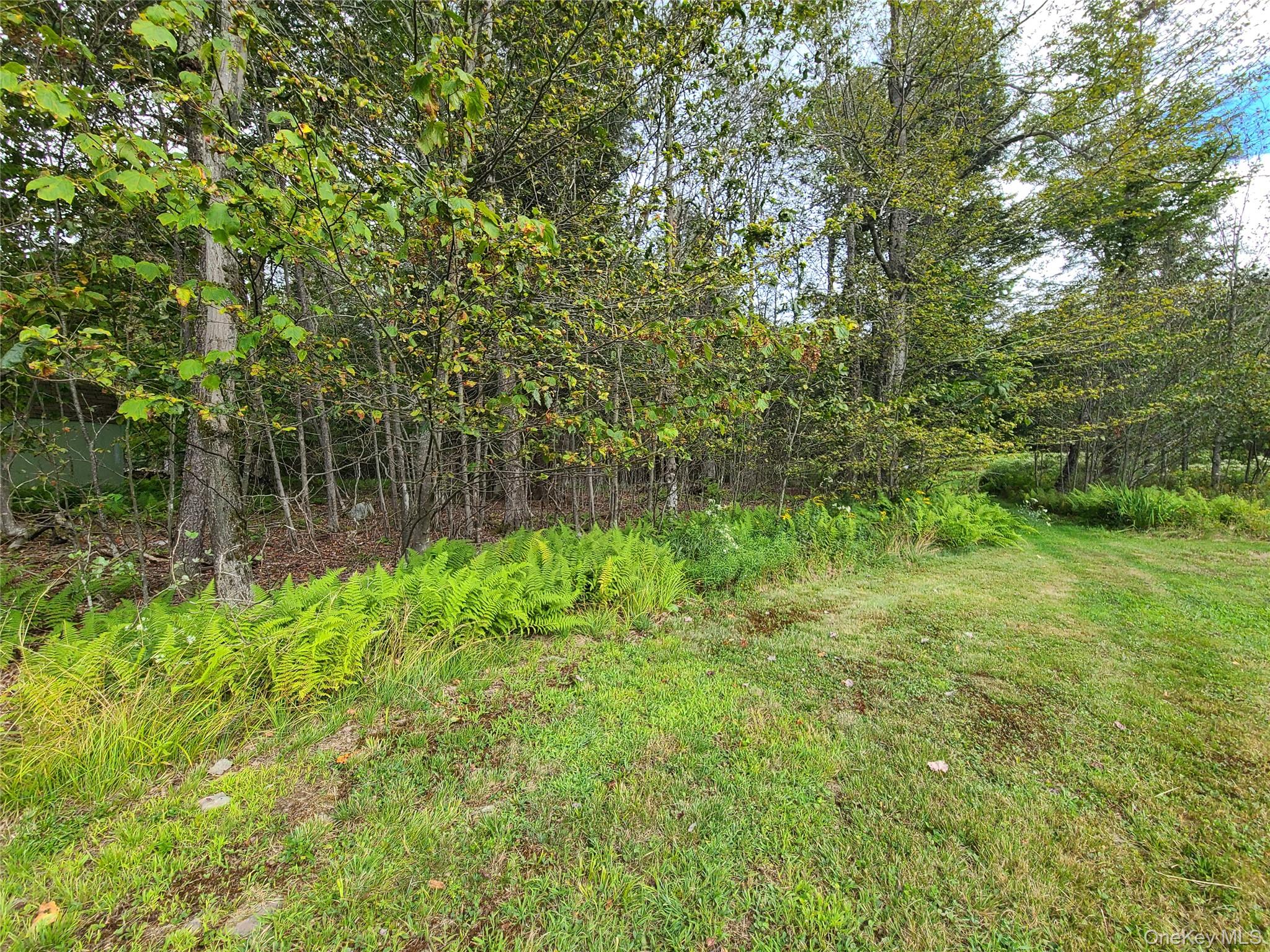 82 Benton Hollow Road Liberty, NY 12754 - Photo 24 of 36 a backyard of a house with lots of green space and fountain